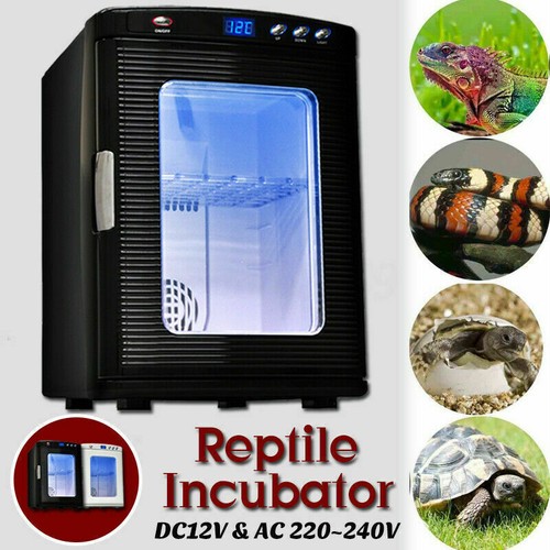 25l reptilien inkubator - 25l, reptilien-inkubator